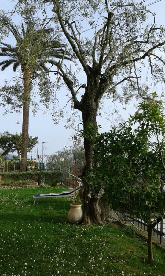 Bed and Breakfast Il Gabbiano Di Pieve Pieve Ligure Exterior foto